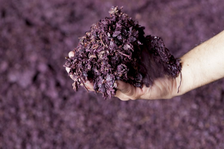 Il consorzio piemontese della grappa accoglie nuove aziende e si presenta al Wine Paris