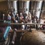 Distilleria Mazzetti d'Altavilla - Galleria fotografica