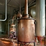 Torino Distillati - Galleria fotografica